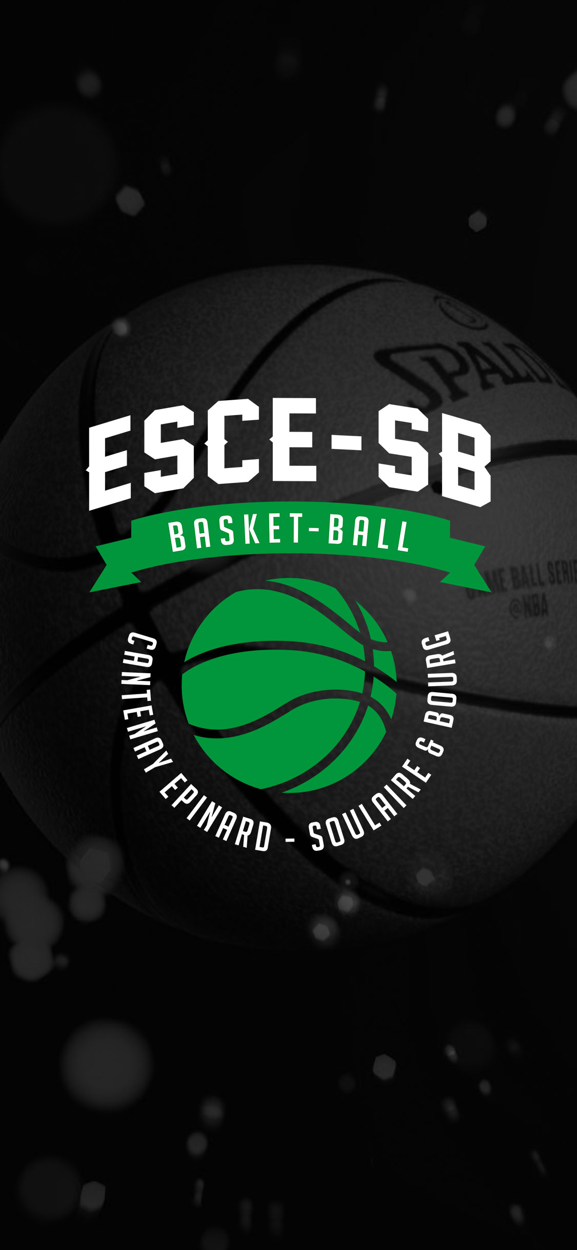 wallpaper-esce-sb-01