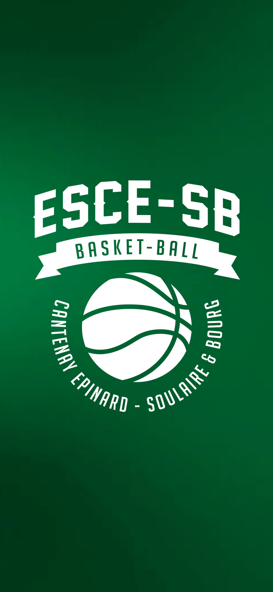 wallpaper-esce-sb-02